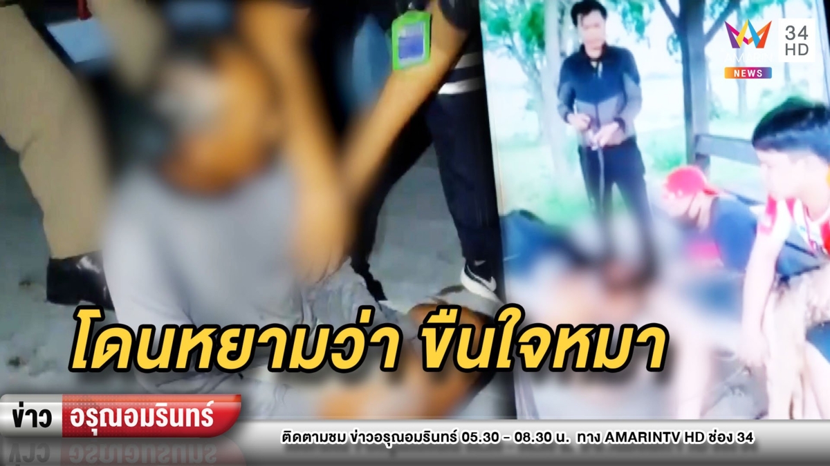 เจ็บแบบงงๆ! นัดผสมพันธุ์สุนัขข้ามจังหวัด เจอลุงเมาควักมีดแทง