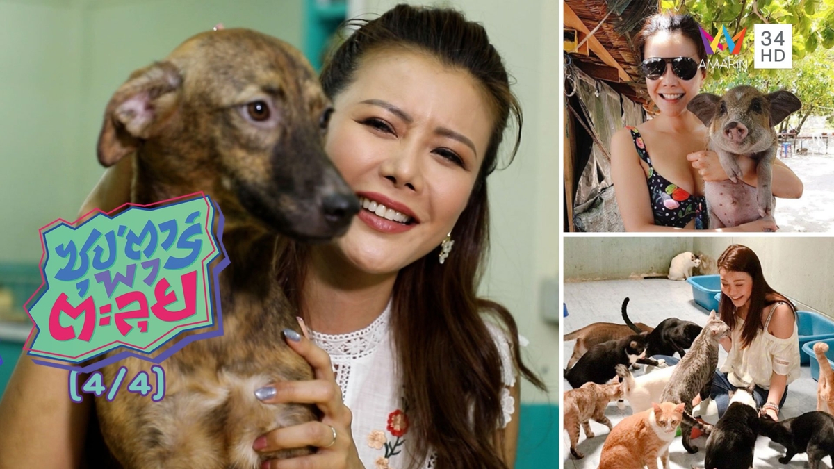 'เก๋ ชลลดา' จากเซ็กซี่สตาร์สู่...นางฟ้ารักสัตว์