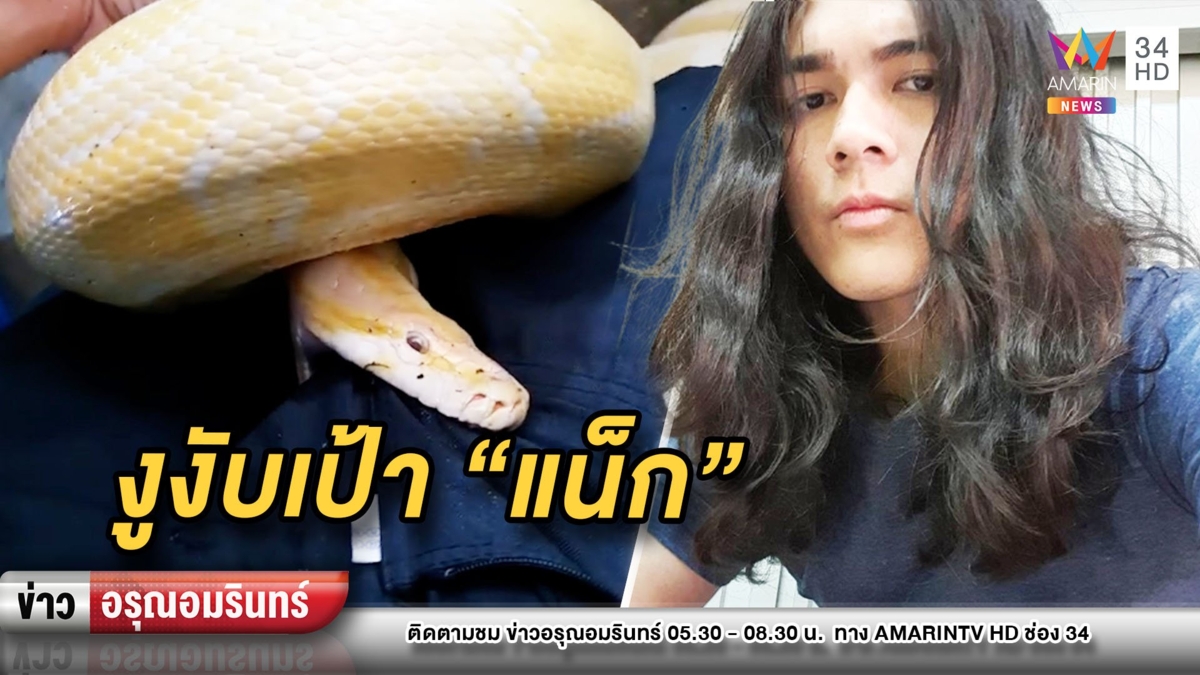 ทรงพลัง! “แน็ก ชาลี” โดนงูเหลือมกัดเป้า แต่ยังฮาบอกกรามแตกแน่