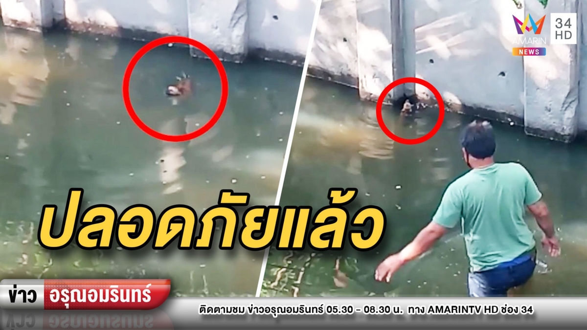 แห่ชื่นชม ชายช่วยลูกสุนัขพลัดตกน้ำ