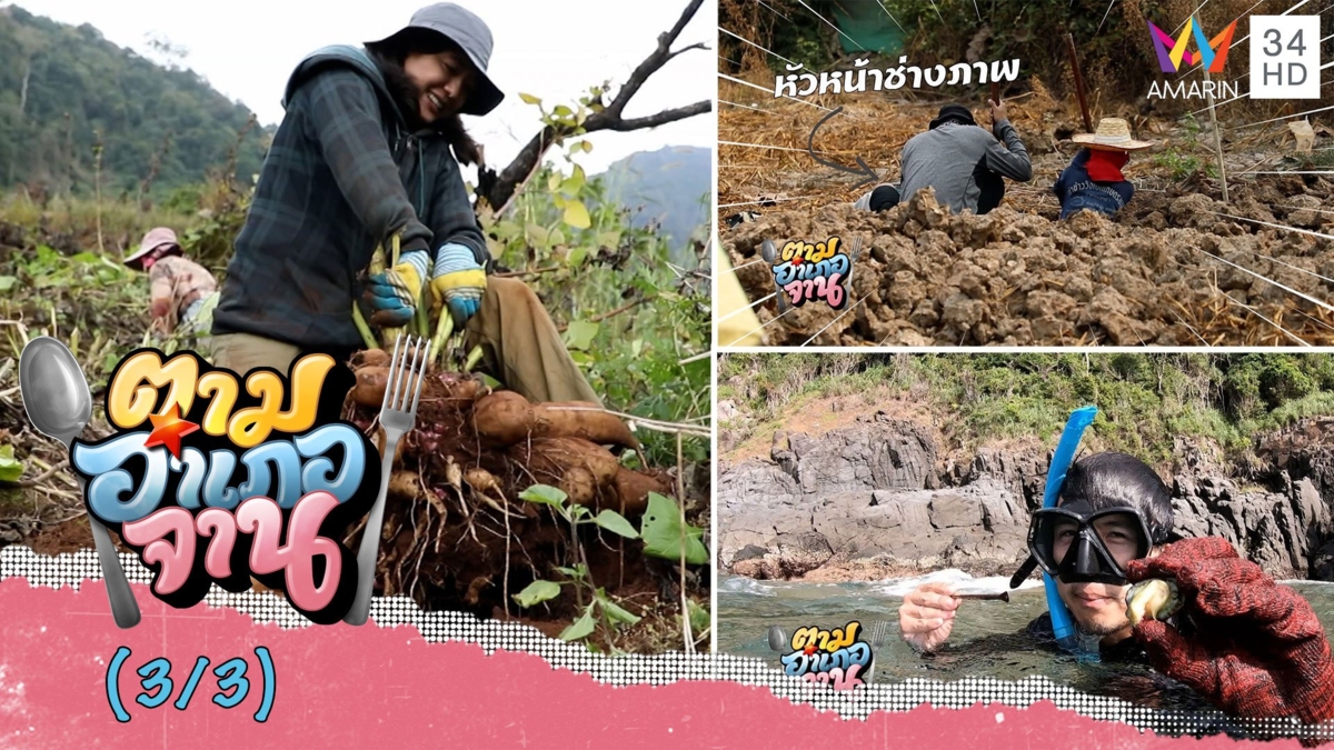 เบื้องหลัง การหาวัตถุดิบสุดระทึก