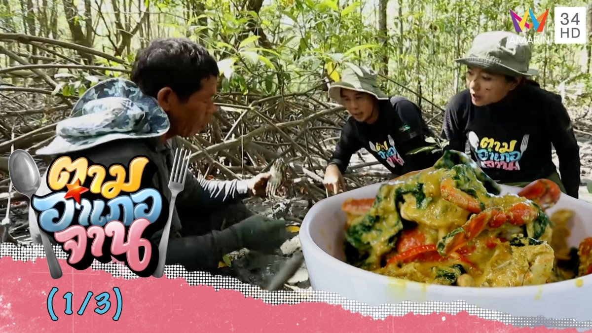 ลงเรือลุยป่าชายเลน จับปูดำก้ามใหญ่ จ.นครศรีธรรมราช