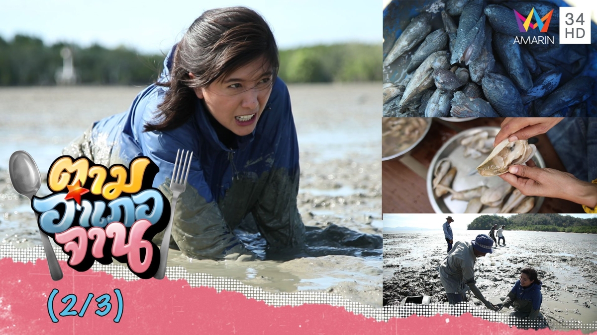 ภารกิจสุดโหด ตามหา หอยพิม จ.สตูล