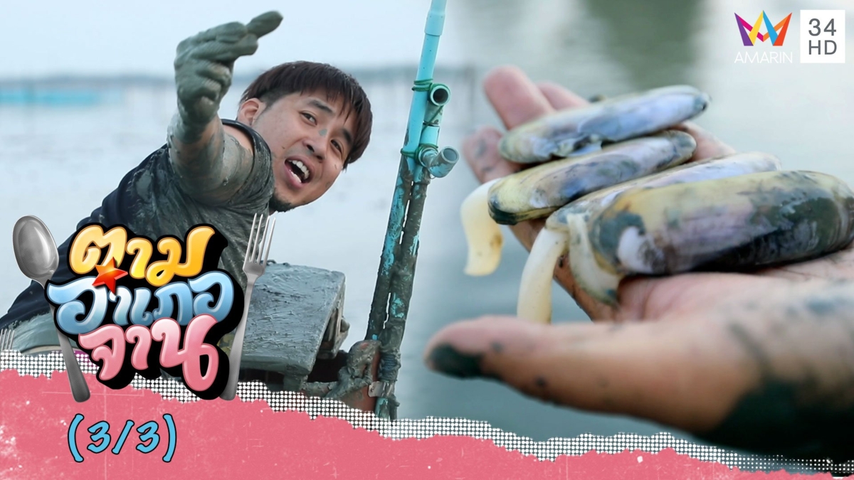 ออกเรือฝ่าทะเลโคลนหา หอยเสียบ จ.เพชรบุรี