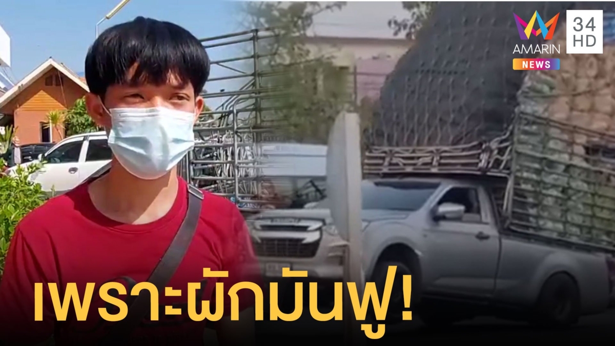 หนุ่มขับกระบะยกล้อเสียค่าปรับ รถหนักเพราะผักฟู