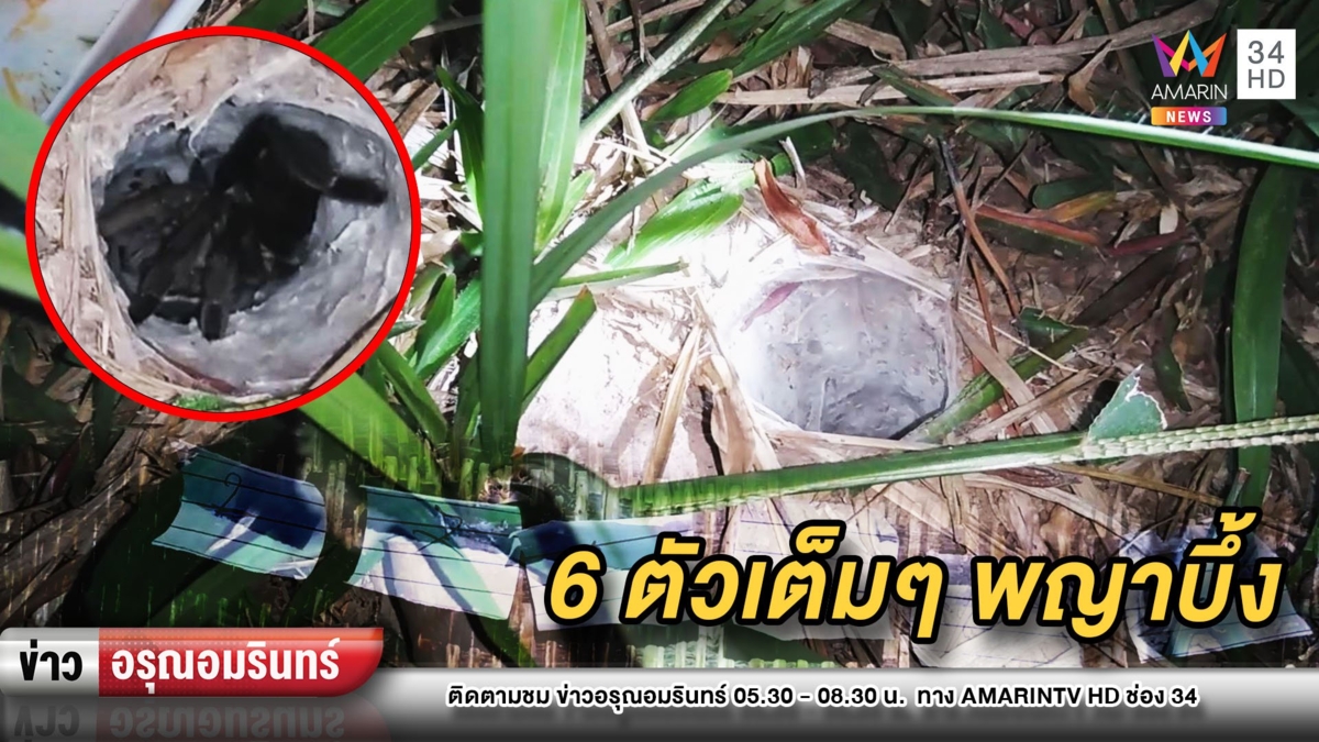 บุกกลางดึก! ชาวบ้านแห่เสี่ยงทายเลขเด็ด “พญาบึ้ง” ให้ 6 ตัวเต็มๆ