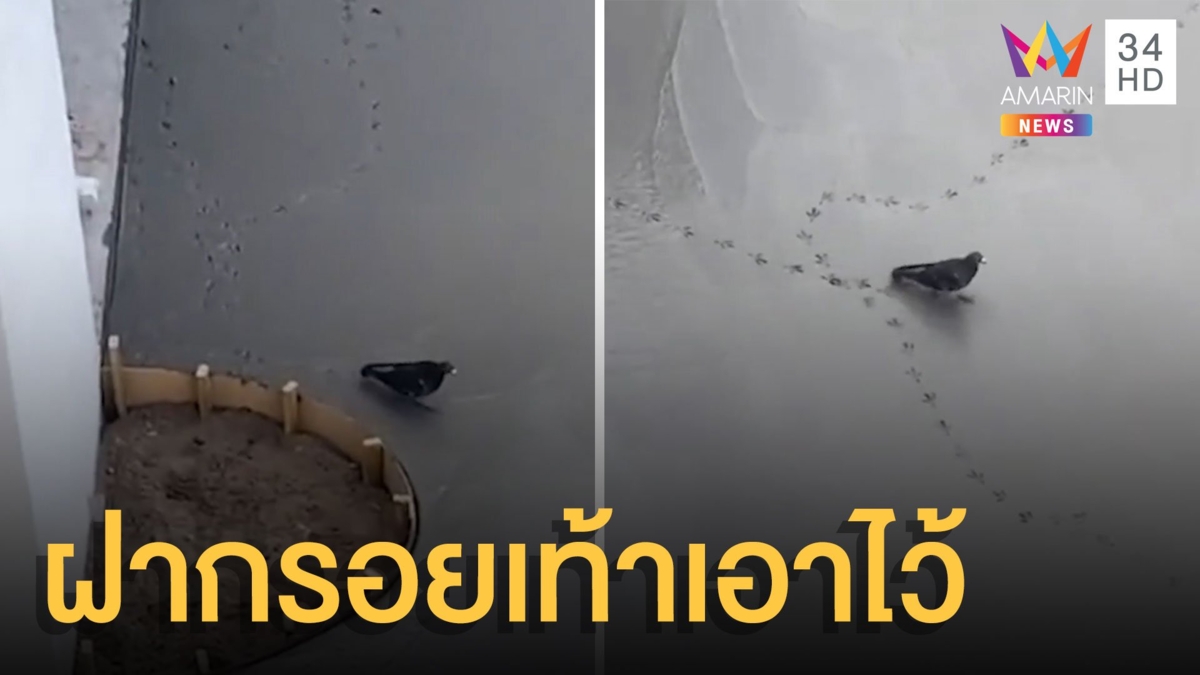ช่างก่อสร้างกุมขมับ นกประทับรอยสร้างแลนด์มาร์ค