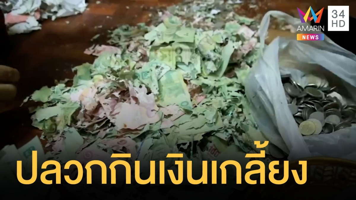 พระเก็บเงินบริจาคในตู้ปลวกกินแบงก์เรียบ