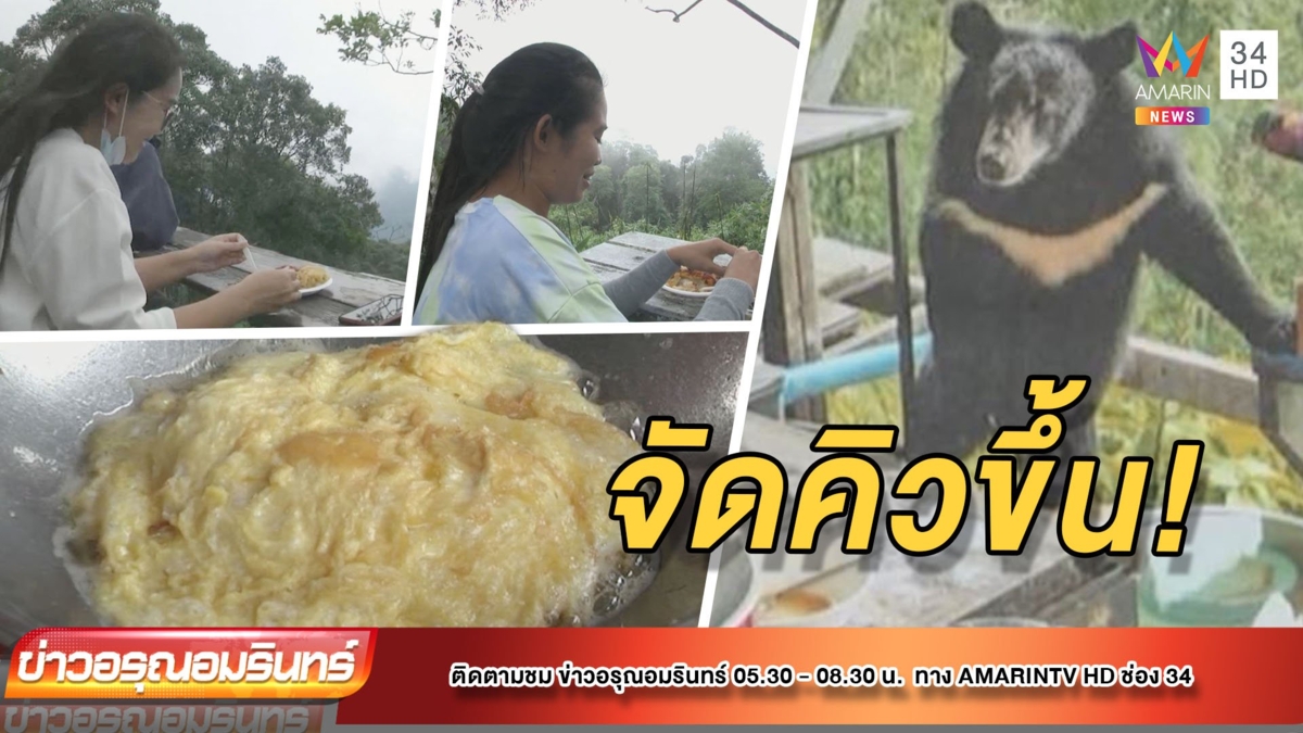 ไข่เจียวหมีฟีเวอร์! จัดระเบียบนทท.แห่ขึ้นเขาใหญ่ ชิมเมนูเด็ด