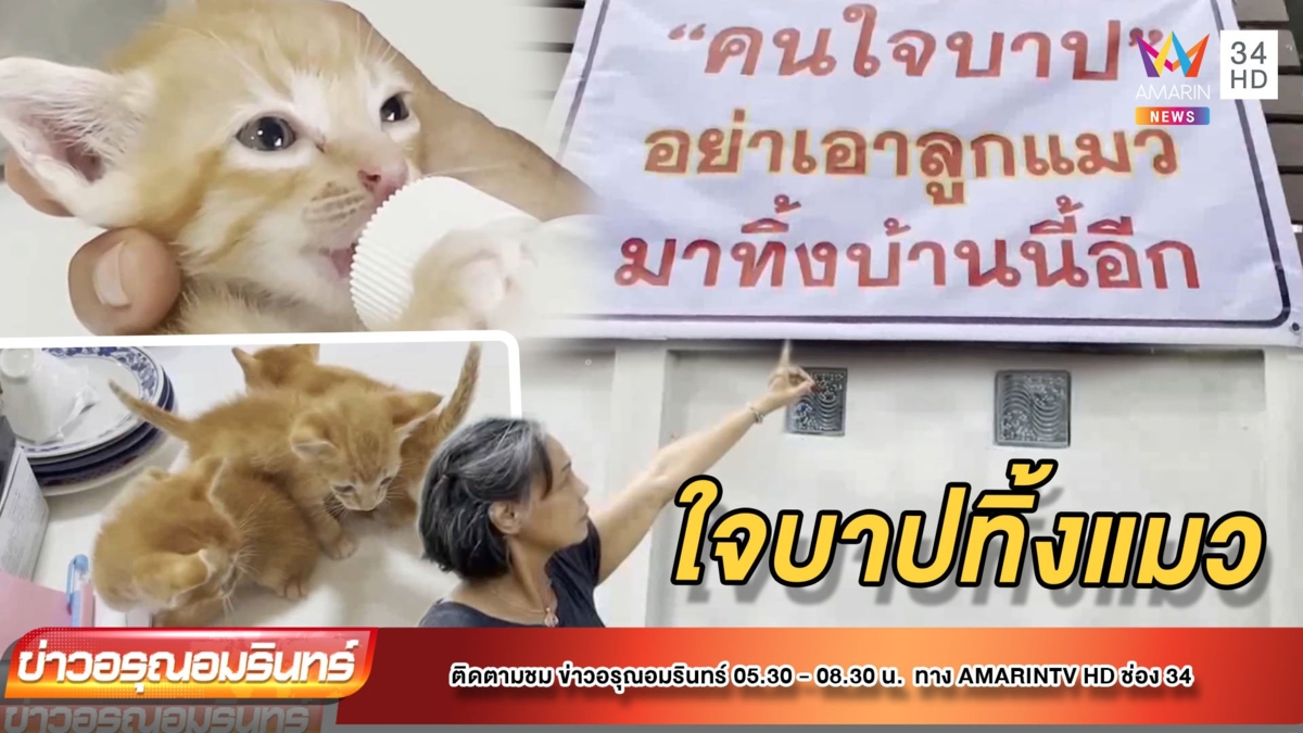 ป้าขึ้นป้ายเตือน “คนใจบาปอย่าเอาแมวมาปล่อยอีก”