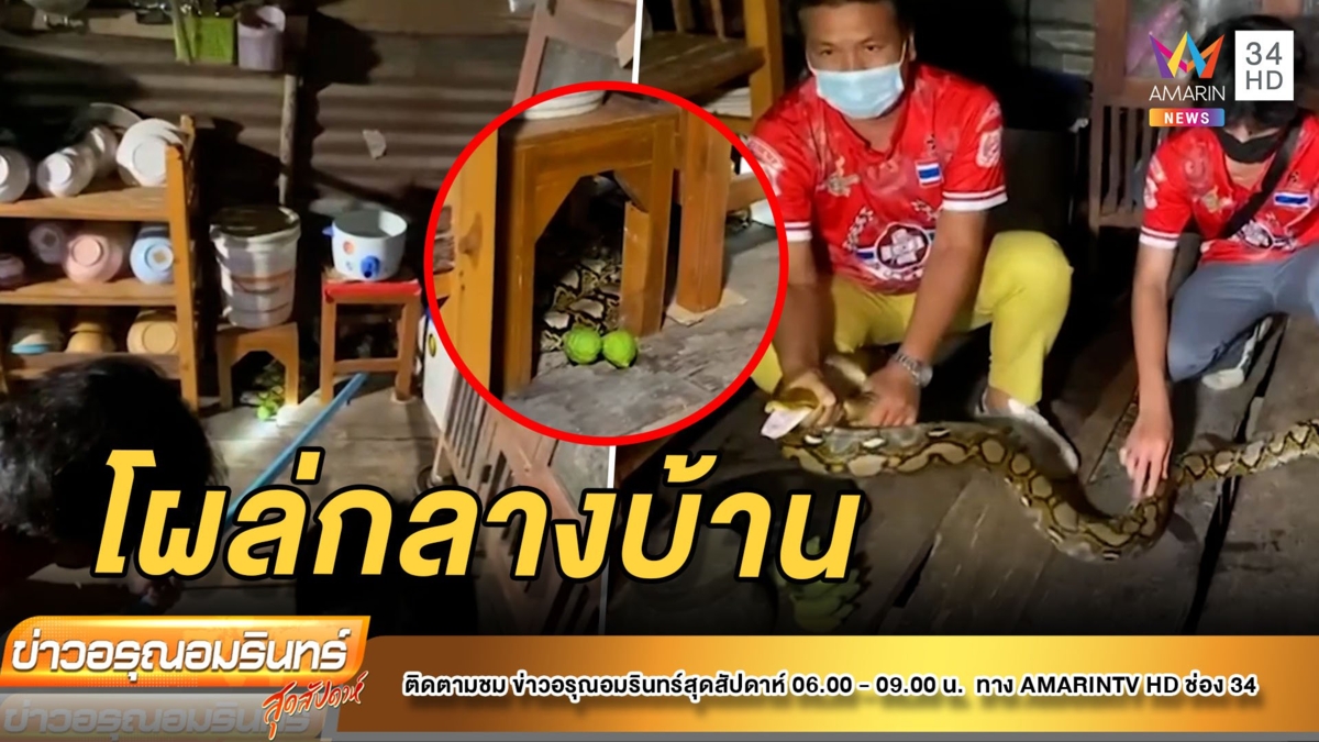 เหลือม 4 เมตร โผล่ห้องครัวกลางบ้าน