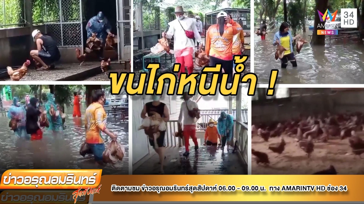 เร่งขนไก่หนีน้ำ !  สร้างเล้าเลี้ยงในห้องเรียนชั่วคราว