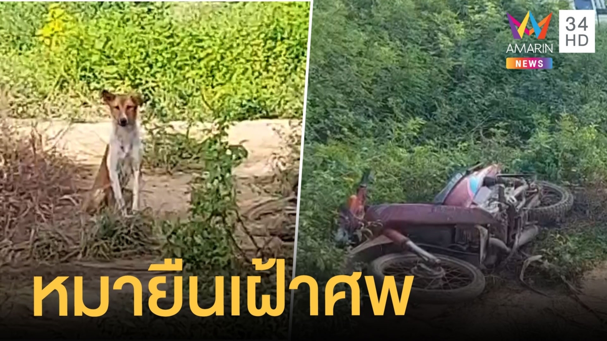 หนุ่มใหญ่ 68 ถูกฟันหัวขาด หมายืนเฝ้าศพ