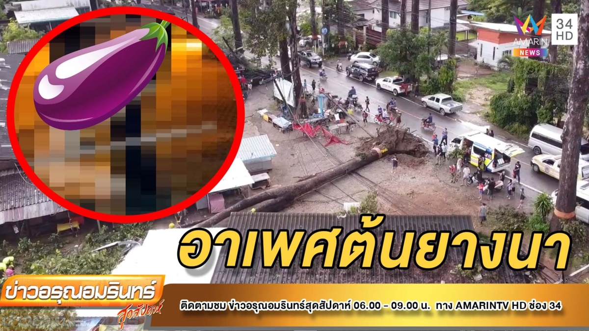 อาถรรพ์! อาเพศหนุ่มสาวมีเซ็กส์ใต้ต้นยาง
