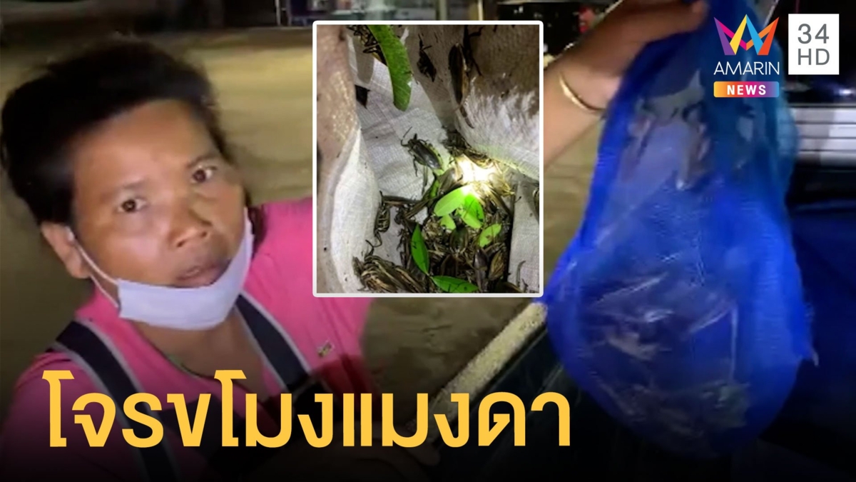 แม่ค้าจอดรถในปั๊มถูกขโมยแมงดาเป็นร้อยตัว