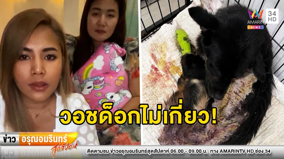 ดราม่าแซ่บ! สาวช่วยหมาถูกถลกหนังโผล่ยัน “วอชด็อก” ไม่เกี่ยว