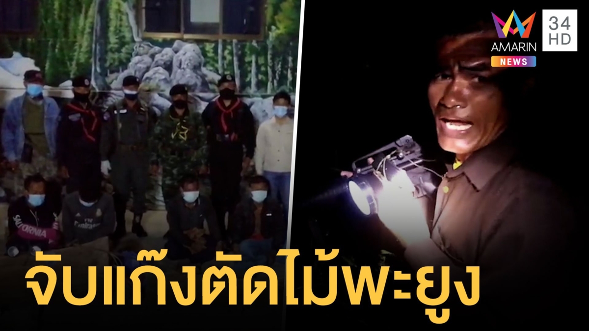 หลวงพี่-เจ้าหน้าที่-ชาวบ้าน บุกจับคนร้ายลอบตัดไม้ต้นพะยูง