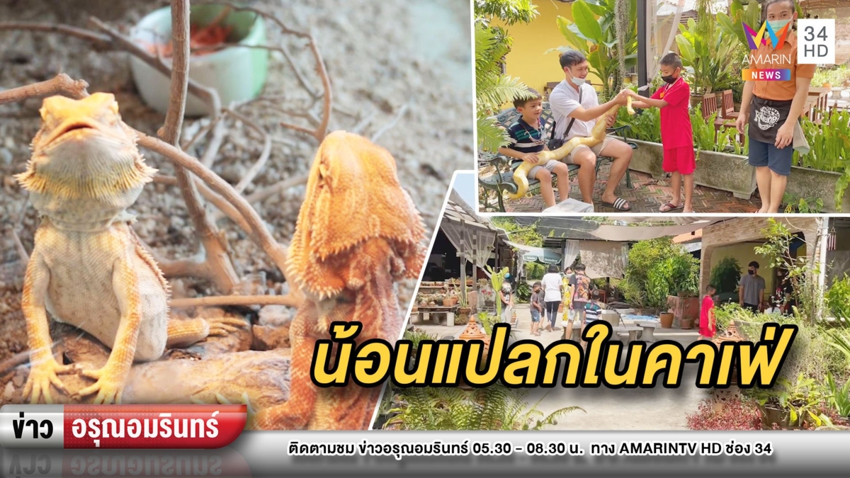 ต้องลอง! ท้าเที่ยวคาเฟ่สัตว์แปลก จับถ่ายรูปไม่ต้องกลัว
