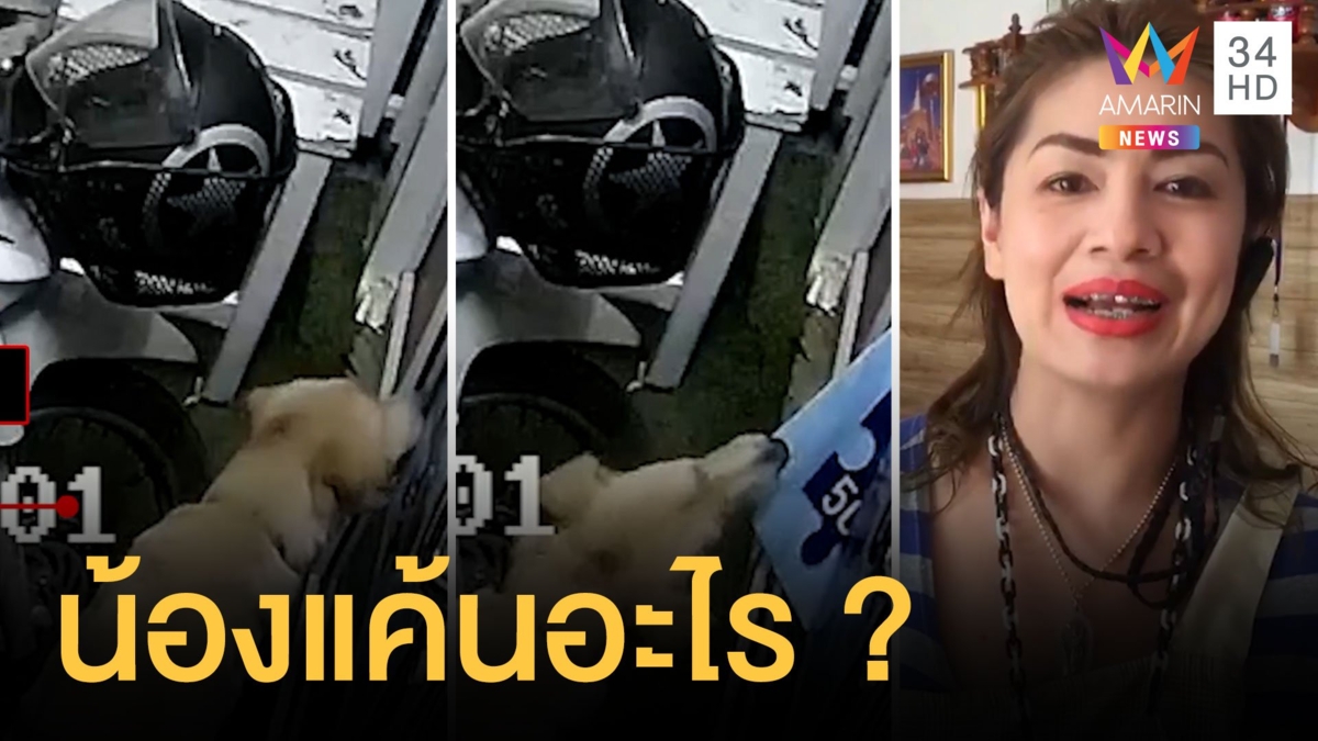 เจ้าของร้านโมโหมีคนขโมยป้ายคนละครึ่ง วงจรปิดเห็นผู้ร้ายชัดมาก