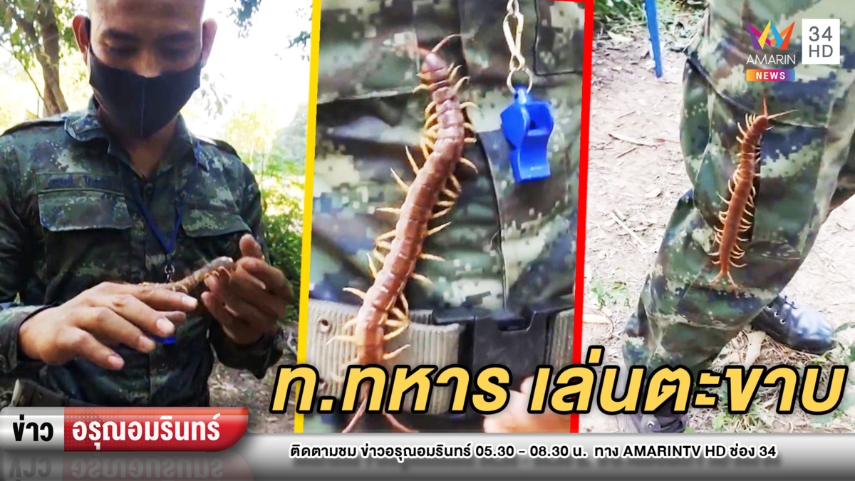 ขนลุก! ทหารหนุ่มเล่นตะขาบ ให้ไต่ขึ้นบนตัว – ชาวเน็ตอึ้ง