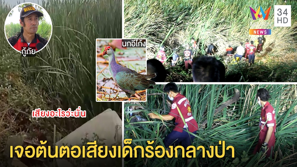 กู้ภัยล้มป่าพิสูจน์! เจอต้นตอเสียงทารกร้องลั่นกลางดง ที่แท้ “นกอีโก้ง”