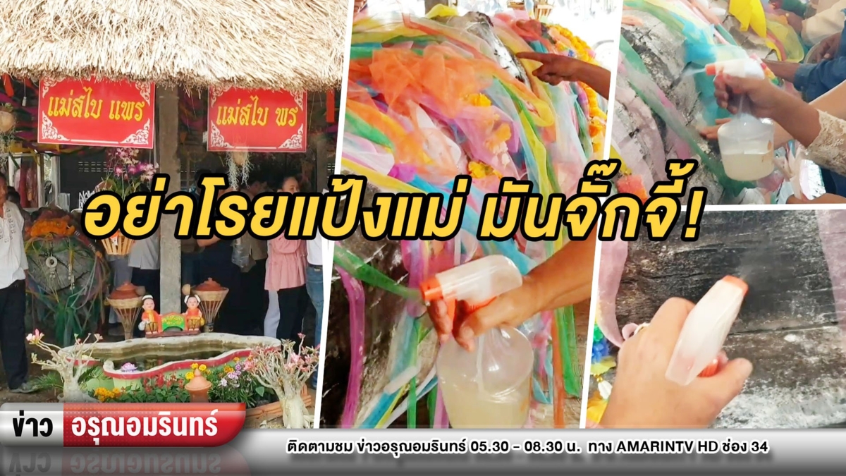 สั่งห้ามโรยแป้งส่องเลขเด็ด “แม่ตะเคียน” เพราะเจ้าแม่จั๊กจี้