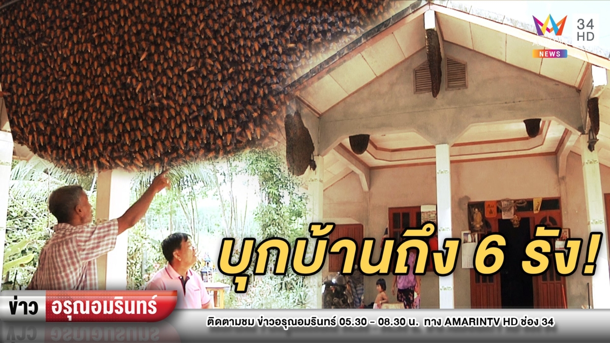 แปลก! “ผึ้งหลวง” บุกทำ 6 รังโชว์หน้าบ้าน-เป็นส่วนหนึ่งครอบครัว
