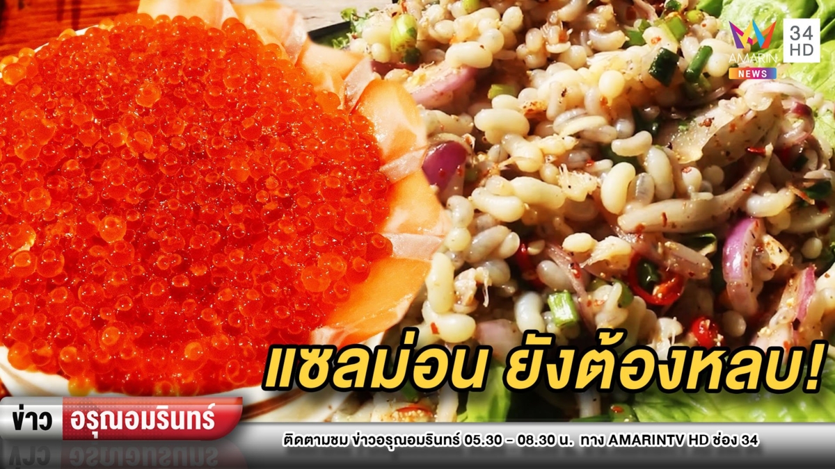 “ไข่มดแดง” ราคาพุ่ง 800 บาท แพงแรงแซง “แซลม่อน”