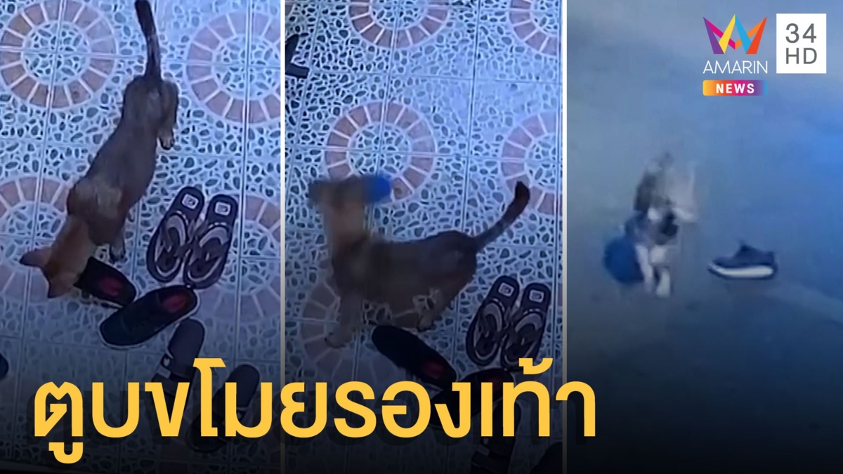 หนุ่มร้านไอที รองเท้าหายทั้งคู่ พอรู้ใครเอาไปโกรธไม่ลง
