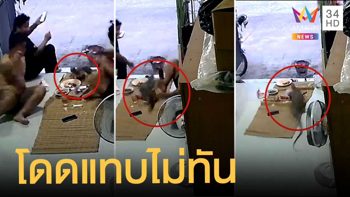 ตั้งวงกินข้าวชิลๆ ตัวเหี้ยวิ่งฝ่ากลางวงกับข้าวกระจาย