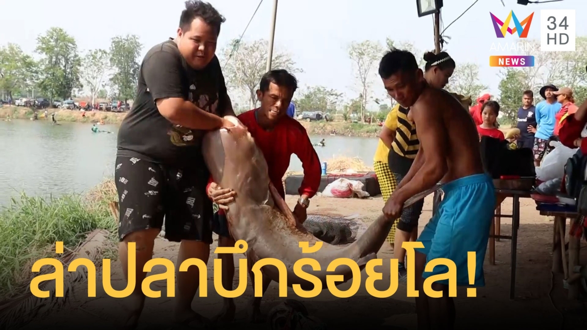 เซียนปลาทั่วไทยเป็นพันล่าปลาบึกร้อยกิโล
