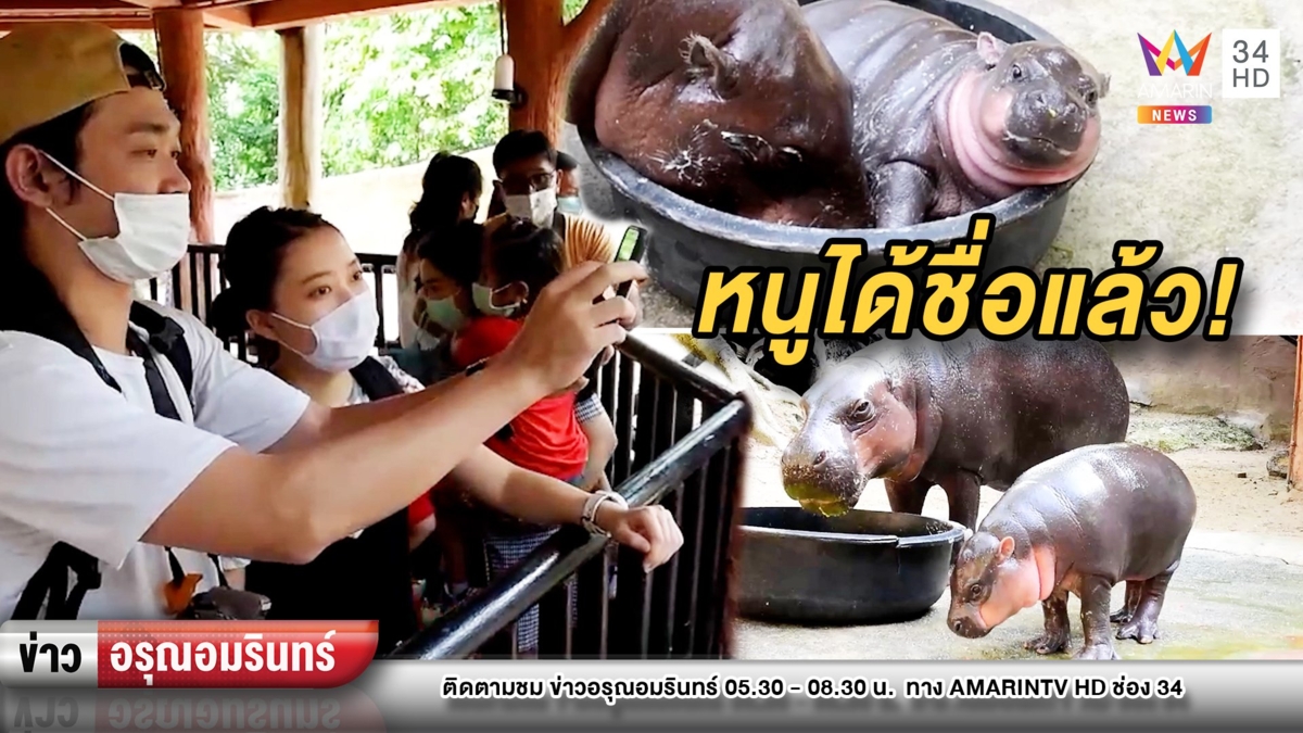 ได้ชื่อแล้ว! “หมูหวาน” ฮิปโปแคระแห่งสวนสัตว์เขาเขียว น่ารักโดนใจ