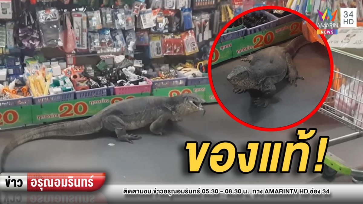 ผวา! “ตัวเหี้ย” ยาวเกือบ 2 เมตร บุกเข้าร้าน 20 บาท
