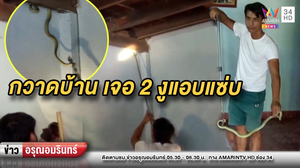 ยายกวาดบ้านเจอขี้ปริศนา เงยหน้าผงะ 2 งูพลอดรักโชว์