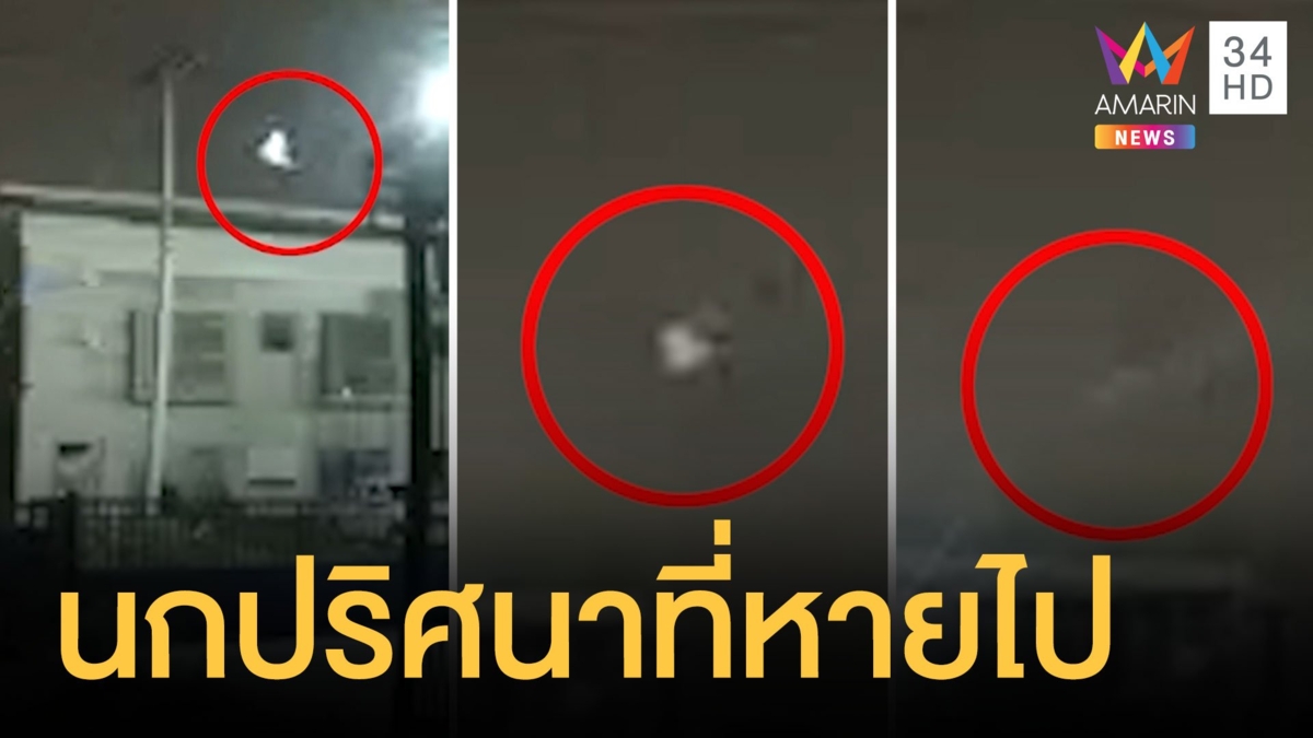 นกบินอยู่บนฟ้าดีๆ หายไปหน้าตาเฉย