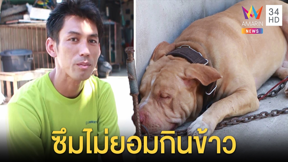 “ไจแอนท์” ซึมไม่กินข้าวหลังเจ้าของตายคาดขย้ำหัวตกใจคนเลี้ยงละเมอใช้มือฟาด