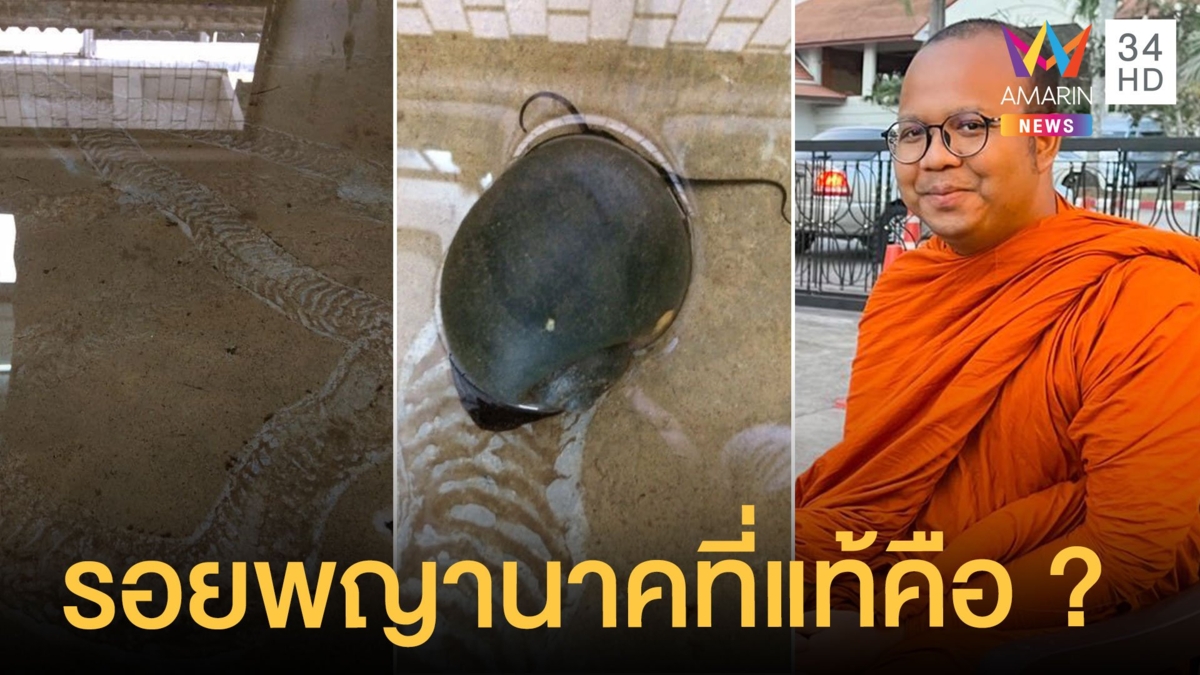 พระมหาไพรวัลย์ โพสต์ภาพรอยพญานาค ที่แท้คือหอยโข่ง ชาวโซเชียลแห่ตีความ