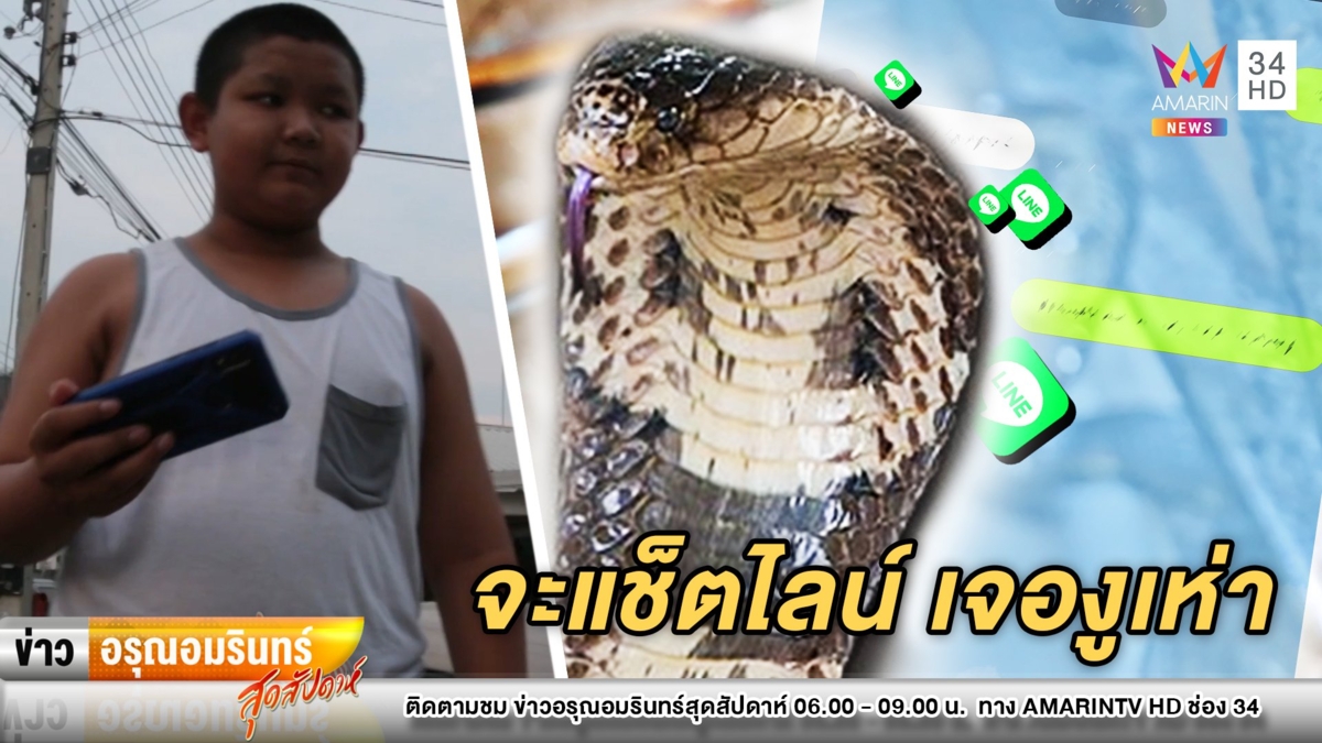 หนุ่มน้อยหลบมุมจะแช็ตไลน์กับเพื่อน เจองูเห่าโผล่ขู่อย่างจัง