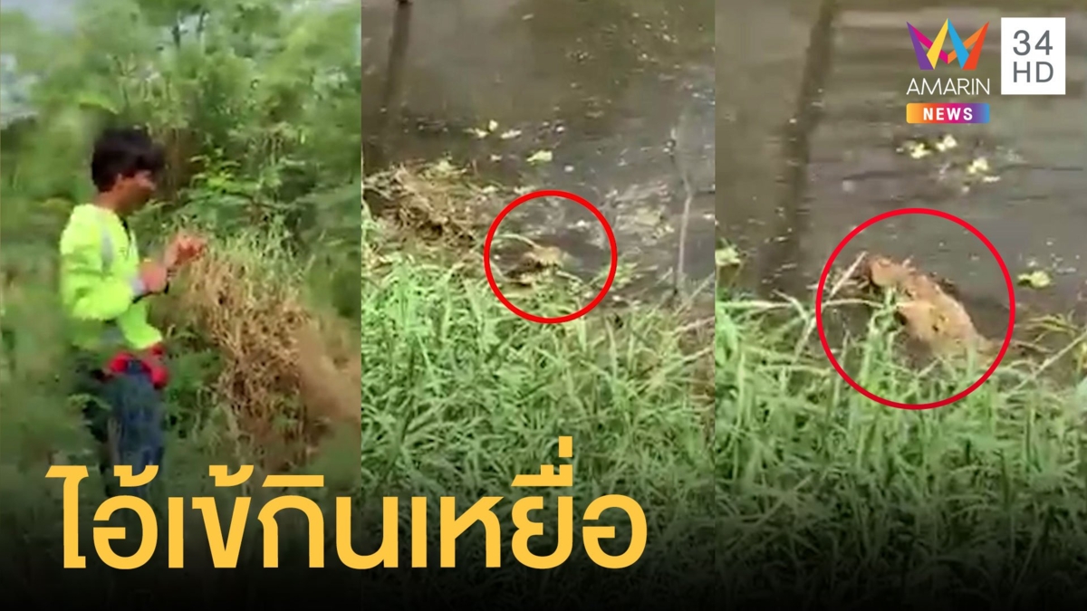 หนุ่มตกปลาในคลองแต่จระเข้กินเบ็ด