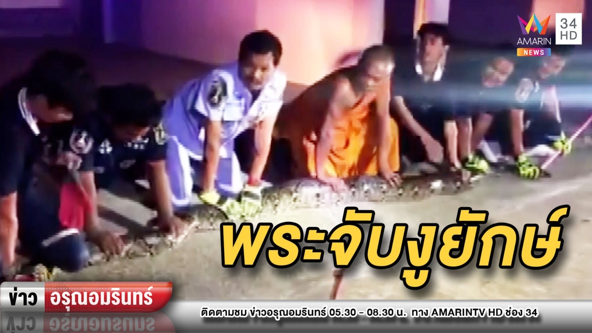 คุณพระช่วย! งูเหลือมยักษ์เลื้อยขวางถนน พระ-จนท.นับสิบรุมจับวุ่น