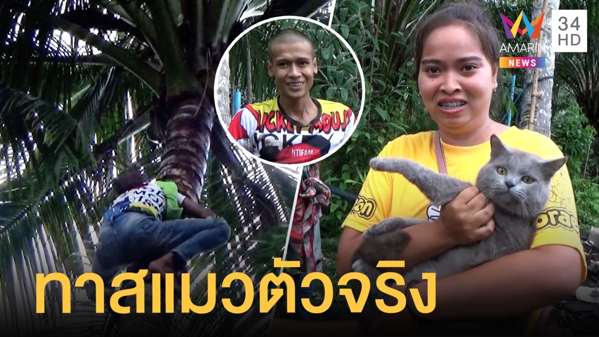 หนุ่มปีนต้นมะพร้าว 10 เมตร ช่วยแมวค้างยอดสี่วันเต็ม