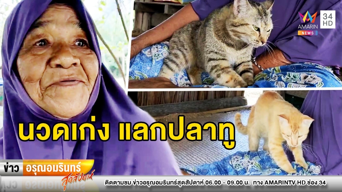 น่ารัก! 2 แมวแสนรู้เอาใจเก่งคอยนวดให้คุณยาย แลกปลาทูนึ่ง
