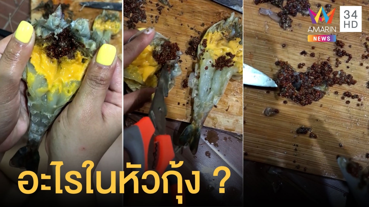 สาวผ่าหัวกุ้งเจอถุงหุ้มเม็ดเล็กๆ อัดคลิปถามชาวเน็ตมันคืออะไร ?