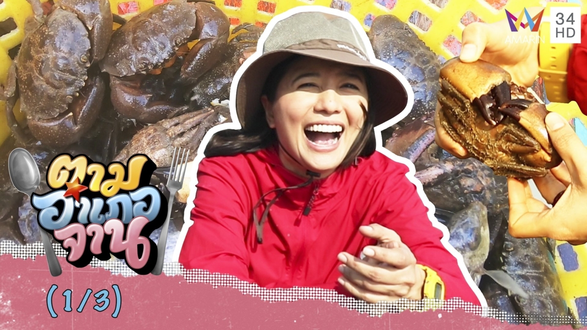 ออกเรือตามล่า ปูใบ้ จ.ชุมพร