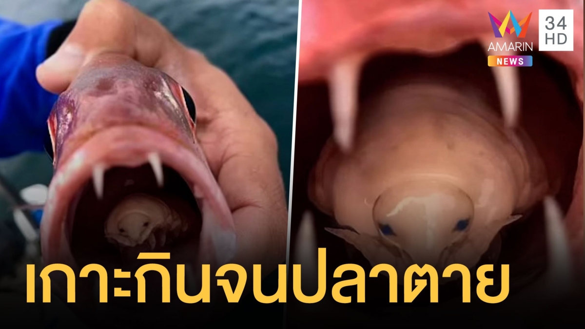 หนุ่มไปตกปลาเจอตัวประหลาด ที่แท้คือปรสิตกินลิ้นปลา