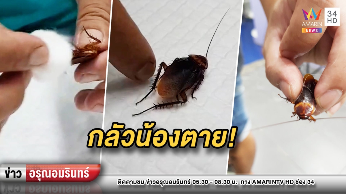 หนุ่มใจหล่อ! หิ้ว “แมลงสาบ” ถูกเหยียบหา “หมอ”