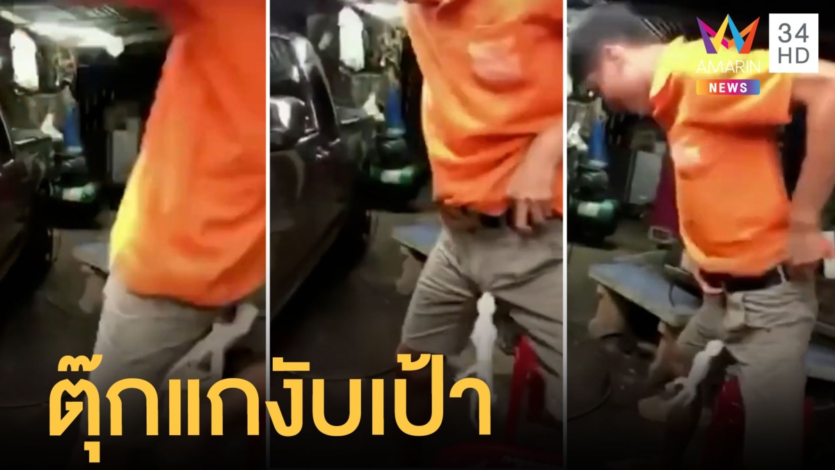 ตุ๊กแกกระโดดงับเป้ากางเกงสะบัดยังไงก็ไม่หลุด