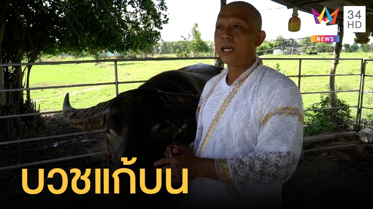 พี่คล้าว 2018 เจ้าของควายยิ้มเตรียมบวชแก้บน