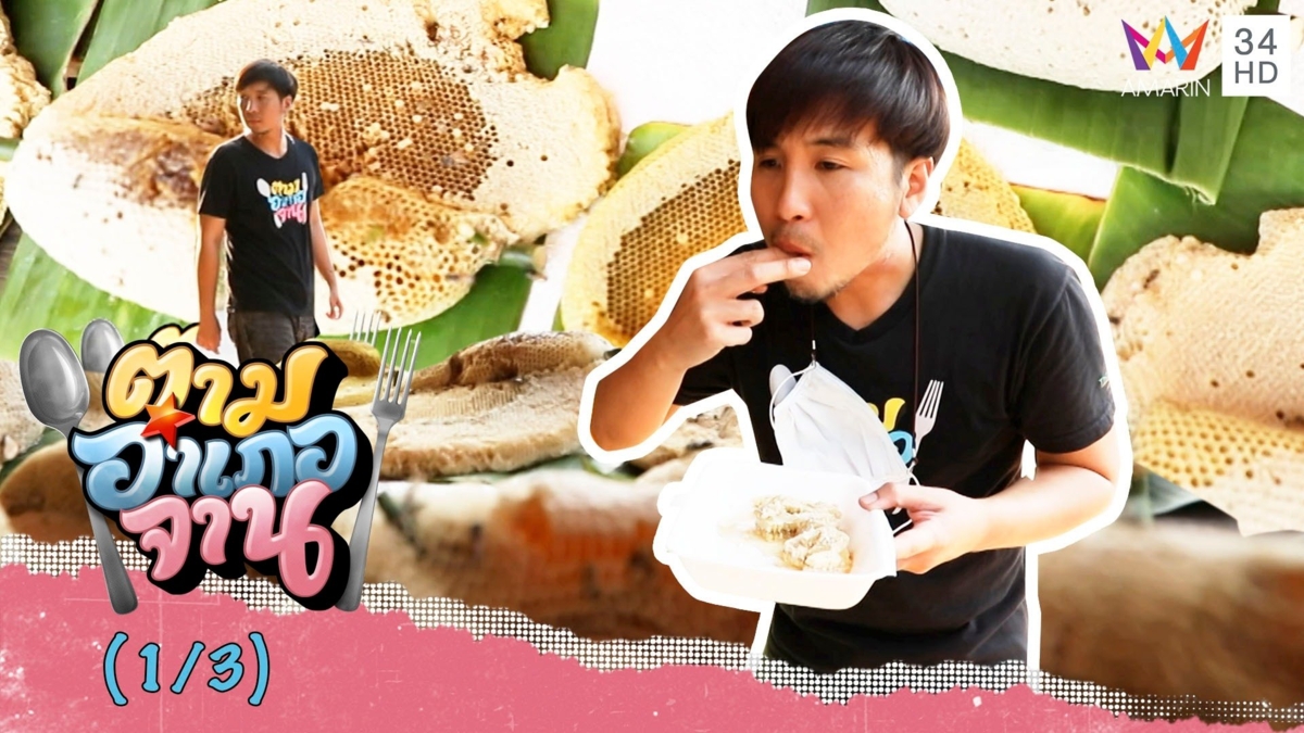 เดินตลาดกลางดง ชิมตัวอ่อนผึ้งป่าสดๆ จ.สุรินทร์