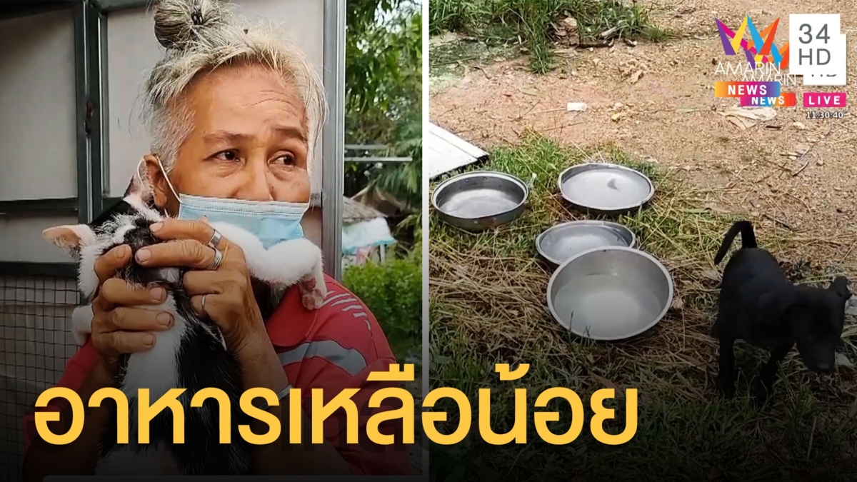 นางฟ้าหมาแมวเจอพิษโควิด ไร้งานต้องลดอาหารของสัตว์